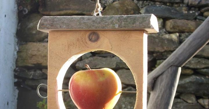 Ideas for creating bird feeders from scrap materials